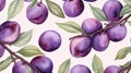 Playful Watercolor Plum Illustration On Branch With Spectacular Backdrops
