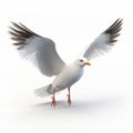 Playfully Conceptual White Seagull 3d Model And Image On Amazon Royalty Free Stock Photo