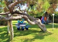 Playgroumd, pine tree and bougainvillea in garden of family hotel, Kemer, Turkey