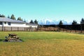 A Picnic area on the green grass with snow mountains background at South Island, New Zealand. Royalty Free Stock Photo