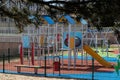 A playground for children to play. Colorful play sets and a safe surface. Coniferous tree branch with cones. Pine.