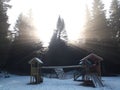 The Playground in the forest Royalty Free Stock Photo