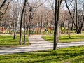 Playground in a spring public park in the sun