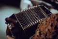 playing the accordion, close up Royalty Free Stock Photo