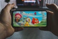 Playing Angry Birds mobile game. Point of view angry birds on smartphone Royalty Free Stock Photo