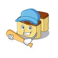 Playing baseball castella cake isolated in the cartoon