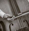 Playing Bass Fiddle Royalty Free Stock Photo