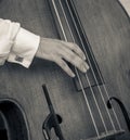 Playing Bass Fiddle Royalty Free Stock Photo