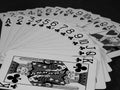 A playing cards hearts and clovers set Royalty Free Stock Photo