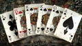 Playing Cards Poker Rummy Cribbage Gambling Solitaire