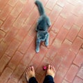 Playing catch and fetch with cat