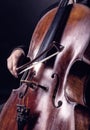 Playing the cello Royalty Free Stock Photo