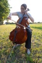 Playing the cello on the meadow Royalty Free Stock Photo