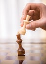 Playing chess Royalty Free Stock Photo