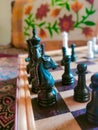 Playing chess is my hobby Royalty Free Stock Photo