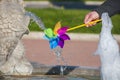 Playing with a colorful toy windmill in a fountain. The colors of the rainbow. Sunny day in a park.