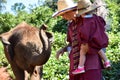 Playing with cub elephants in Elephant Rescue Park