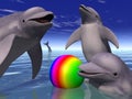 Playing Dolphins