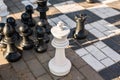 Playing Giant chess