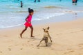 Playing girl and puppy in the beach