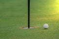 Playing golf preparing shot man putting on green Royalty Free Stock Photo