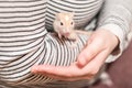 playing with a mouse Royalty Free Stock Photo