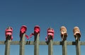 The kiddies shoes were washed and hung out to dry Royalty Free Stock Photo