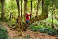 Playing in nature`s garden - woman sitting in large tree with hanging vines