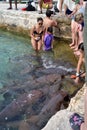 Playing with nurse sharks