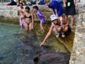 Playing with nurse sharks