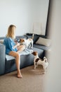 Blonde woman in blue clothes playing with two dogs Jack Russell terriers.