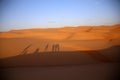 Playing with the shadows at sunset on the dunes of the Omani desert of Wahiba Sands Royalty Free Stock Photo