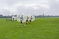 Playing soccer in a plastic bubble, zorbsoccer Royalty Free Stock Photo