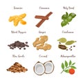 Big vector set of popular culinary herbs and spices