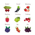 Set of colorful cartoon berries