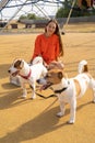 Playing with two dogs. teenager girl in orange clothes