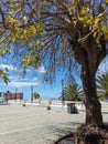 Plaza de Baltasar MartÃ­n, close to the church called \