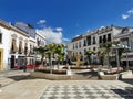 Plaza de los Naranjos , Malaga . Beautiful Spanish Square with flowers and orange trees