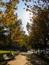 Plaza Independencia Independence Square in Autumn in Paso de los libres, Corrientes, Argentina