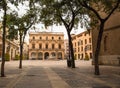 Plaza Mayor town hall of Castellon de la Plana Royalty Free Stock Photo