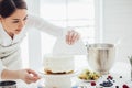 Pleasant Asian girl making smooth cake Royalty Free Stock Photo