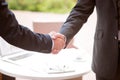 Pleasant colleagues shaking hands Royalty Free Stock Photo