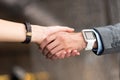 Pleasant colleagues shaking hands Royalty Free Stock Photo