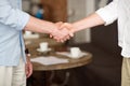 Pleasant colleagues shaking hands Royalty Free Stock Photo