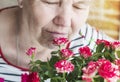 A pleasant elderly woman rejoices at the roses ,inhaling their aroma