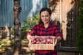 Pleasant multiethnic woman eco farmer, agriculturist holding out a wooden box with freshly dug pink potatoes to camera