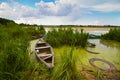 Pleasant rural landscape with little old wooden craft fishing boats or punts at a lake shore in rich green grass and bulrush Royalty Free Stock Photo