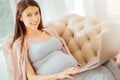 Pleasant satisfied woman working with the laptop and smiling.