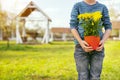 Pleasant young boy holding flowers Royalty Free Stock Photo