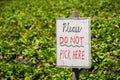 `Please Do not Pick Here` sign at an organic U-Pick strawberry farm, California
